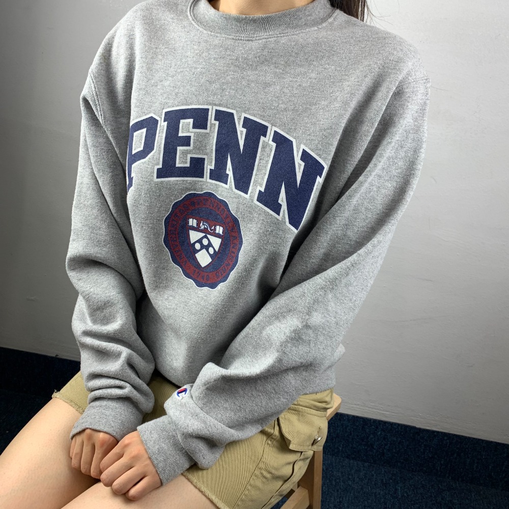 5964 - 챔피온 유니버시티 펜실베니아 스웻 셔츠